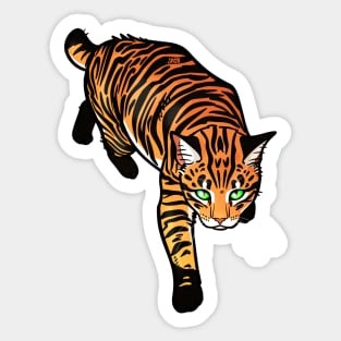 Tiger Tabby Manx Sticker